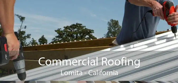 Commercial Roofing Lomita - California