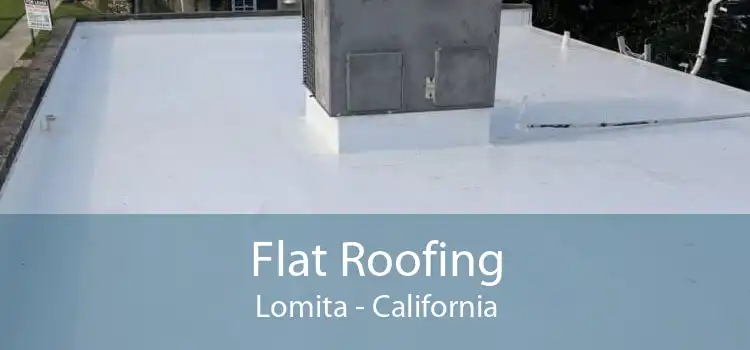 Flat Roofing Lomita - California