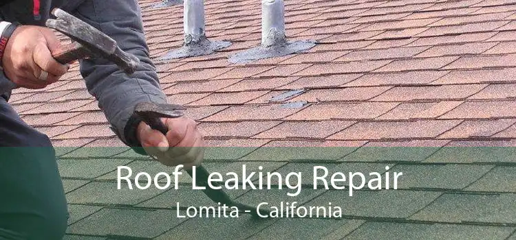 Roof Leaking Repair Lomita - California