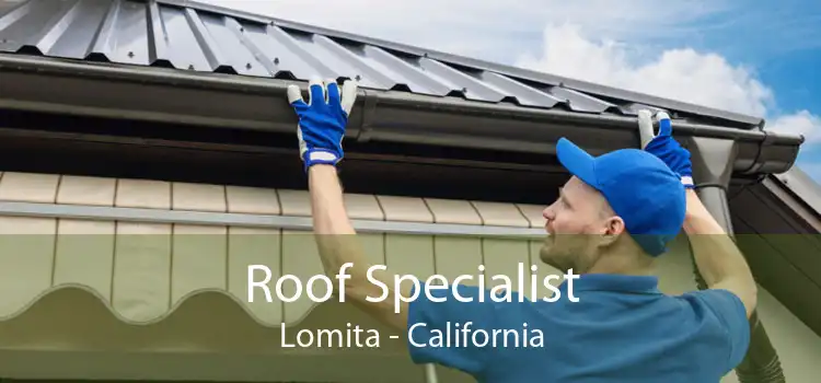 Roof Specialist Lomita - California