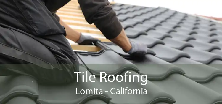 Tile Roofing Lomita - California