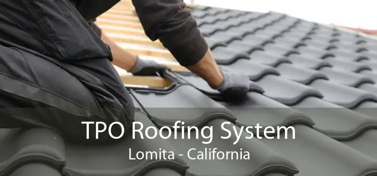 TPO Roofing System Lomita - California